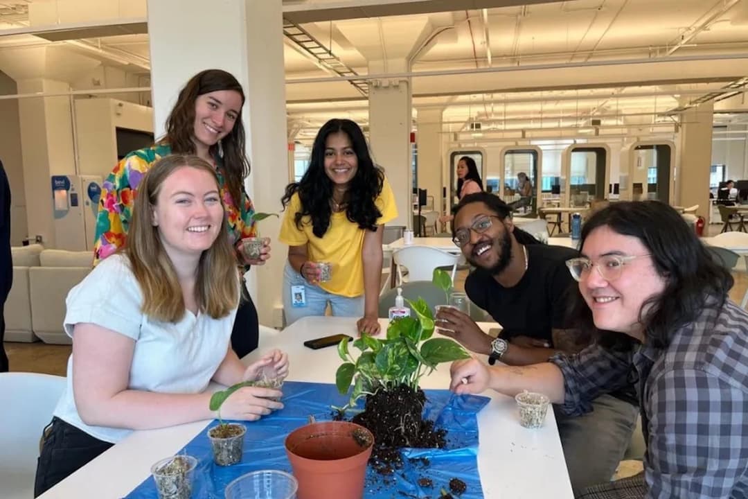 Maven Clinic company profile