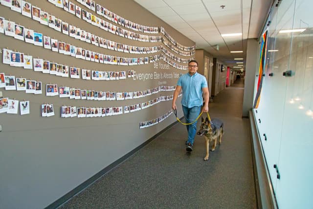 Working at Trupanion